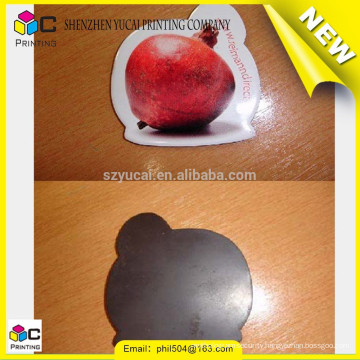 Wholesale products resin fridge magnet and give away gift business magnet